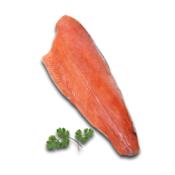Salmón