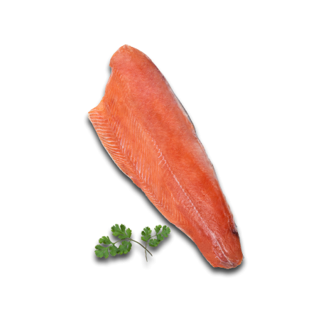 Salmón