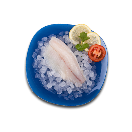 Tilapia