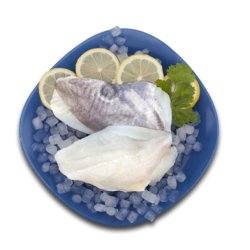 Filete de Gallo San Pedro