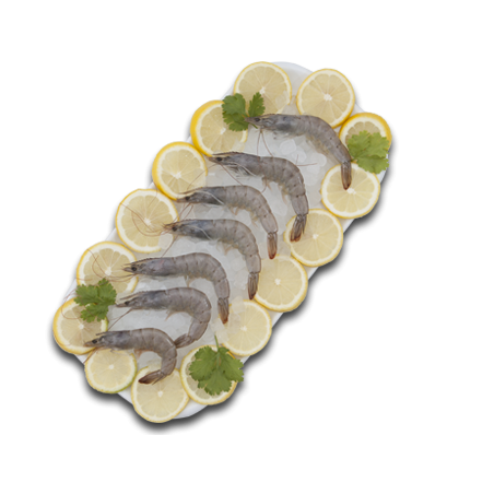 Langostino Vannamei