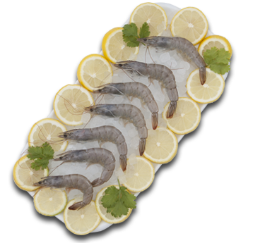 Langostino Vannamei