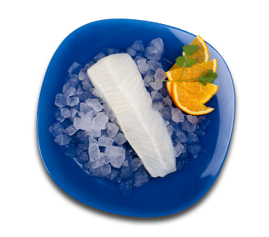 Halibut del Pacífico