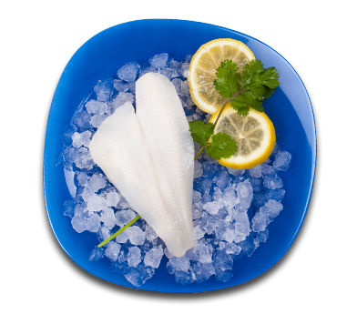 Limanda