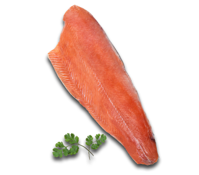 Salmón