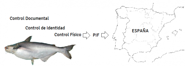 CONTROLES OFICIALES