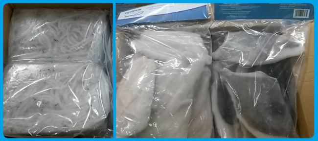 IMPORTACIÓN DE NUEVOS PRODUCTOS CONGELADOS